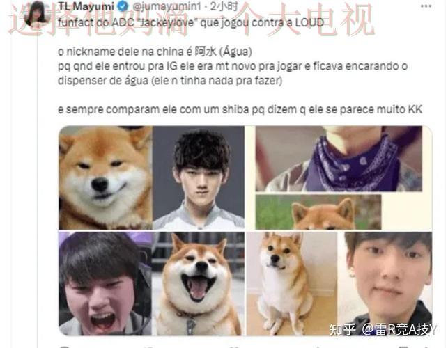 雷竞技游戏网全新攻略 雷竞技游戏网全新攻略